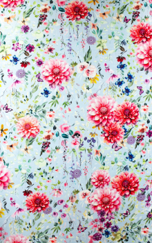 Preview: Jersey AVALANA Dahlien Rapport (ca. 1,10 m)